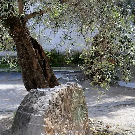 Agriturismo Ca Di Ughi